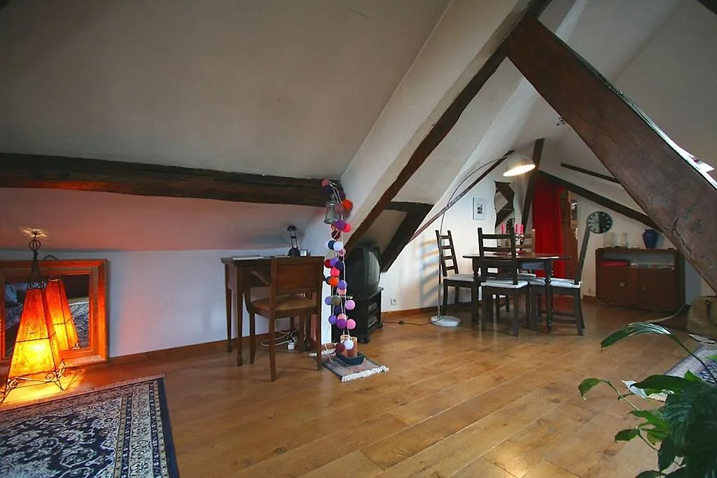 Mansarde Des Artistes Apartment *